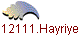 12111.Hayriye