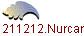 1211212.Nurcan Fatma