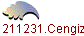 1211231.Cengiz Kaan
