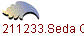 1211233.Seda Glnur