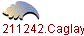 1211242.Caglayan