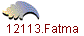 12113.Fatma
