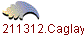 1211312.Caglayan