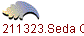1211323.Seda Glnur