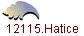 12115.Hatice