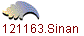 121163.Sinan
