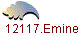 12117.Emine