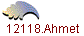 12118.Ahmet