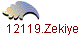 12119.Zekiye