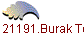 121191.Burak Tolga