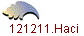 121211.Haci