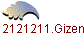 12121211.Gizem