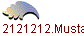 12121212.Mustafa
