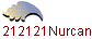 1212121Nurcan