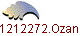 1212272.Ozan