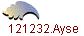 121232.Ayse