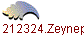1212324.Zeynep