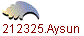 1212325.Aysun
