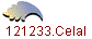 121233.Celal