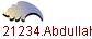 121234.Abdullah
