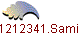 1212341.Sami