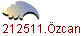 1212511.zcan
