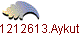 1212613.Aykut