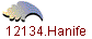 12134.Hanife