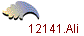 12141.Ali