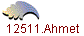 12511.Ahmet