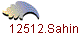 12512.Sahin