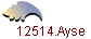 12514.Ayse