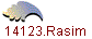 14123.Rasim
