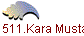 1511.Kara Mustafa