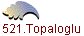 1521.Topaloglu H.Ibrahim
