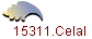 15311.Celal