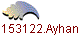 153122.Ayhan
