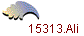 15313.Ali