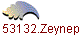 153132.Zeynep