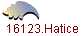 16123.Hatice