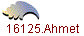 16125.Ahmet