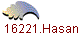 16221.Hasan