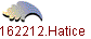 162212.Hatice