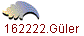 162222.Gler