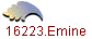 16223.Emine
