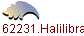 162231.Halilibrahim