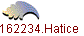 162234.Hatice