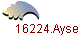 16224.Ayse