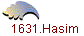 1631.Hasim
