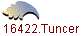 16422.Tuncer